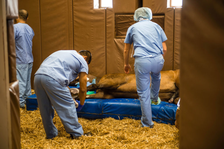 recovery-from-surgery-AIM-16-0426-D41b-001-2400