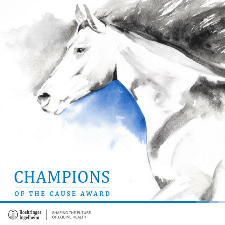 Champions of the Cause Horse