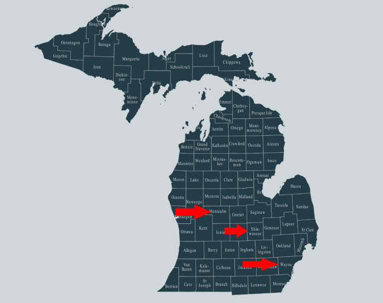 Michigan Shaiwassee, Wayne, Montcalm County map
