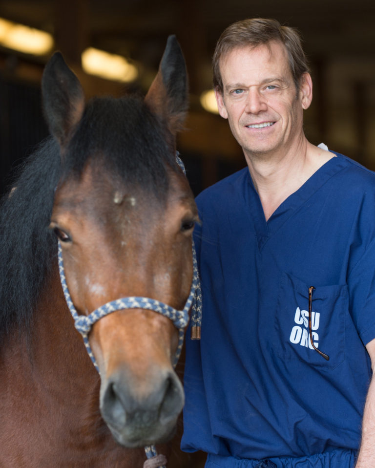 Dr. David Frisbie