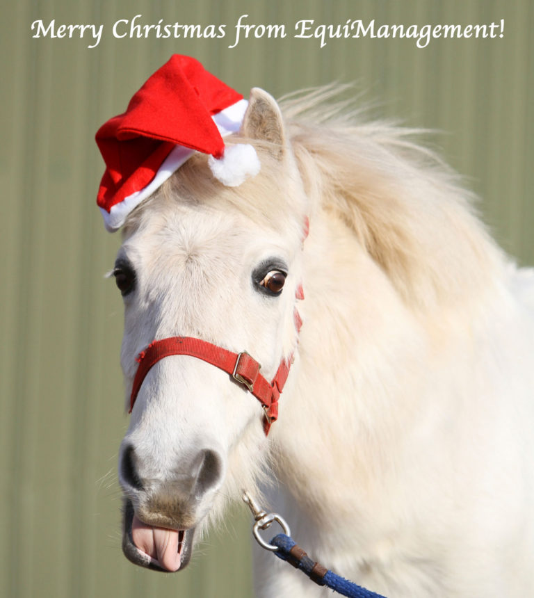 squirrel toy horse snow