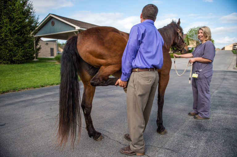 Keeping Up from the 2016 AAEP Convention on Venograms for Non-Lame Horses promo image