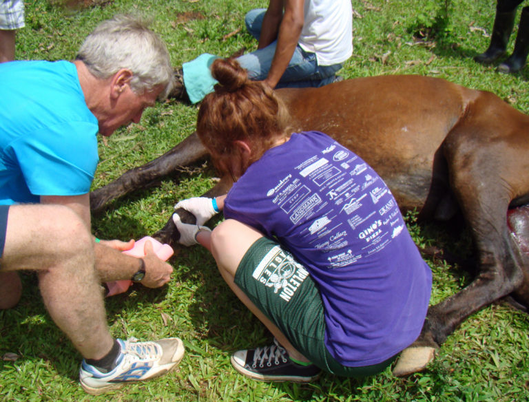 Equitarian Dr. Harry Werner