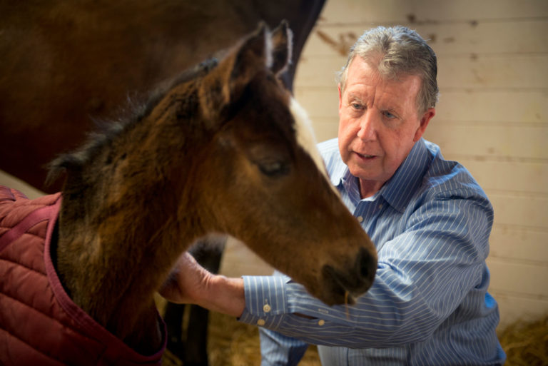 John Madigan UC Davis foal compression