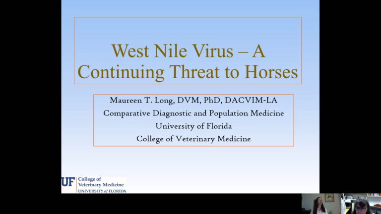 DJD Podcast Webinar Recording Dr