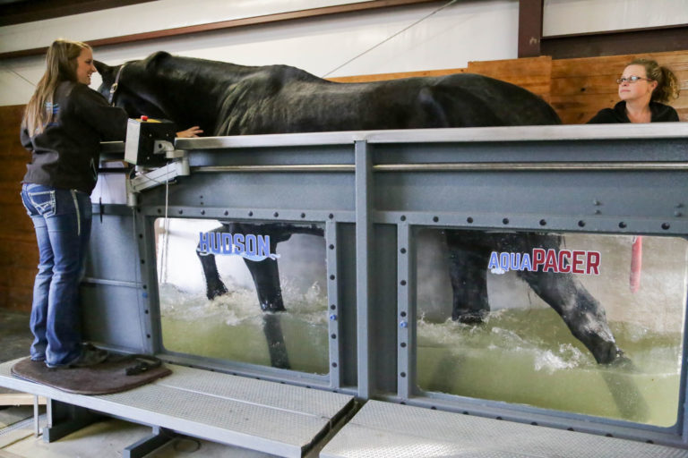 AquaPacer at Fossil Creek Equine Center Texas