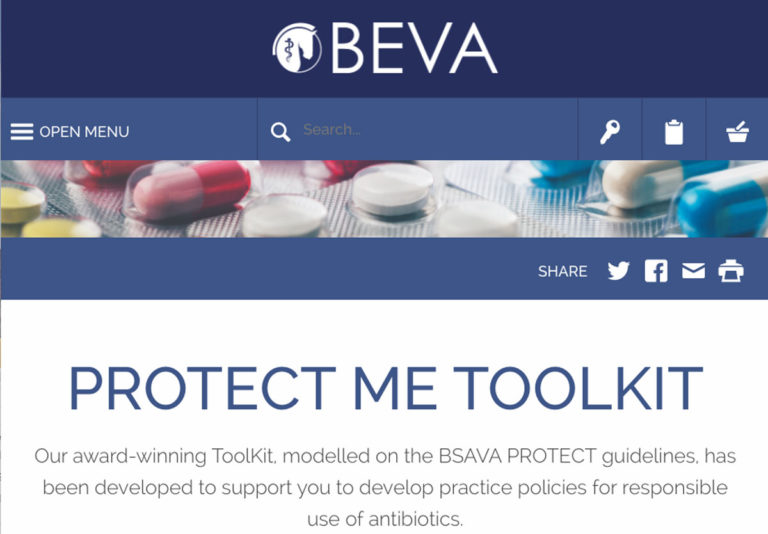 BEVA Protect Me Toolkit screen capture 2020