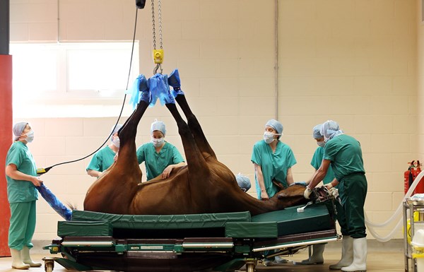 surgery-hoist-newmarket-1500