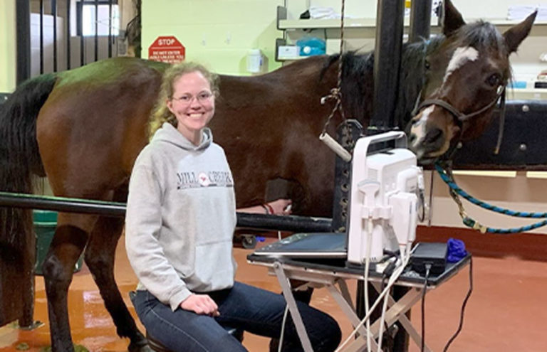 Dr. Rosemary Bayless 2020 AAEP Past Presidents' Research Fellow