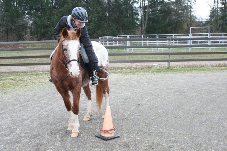 games on horseback research cortisol