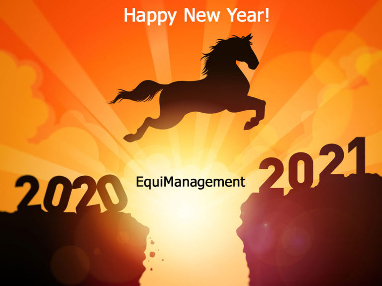 illus new year 2021 EquiManagement horse leaping