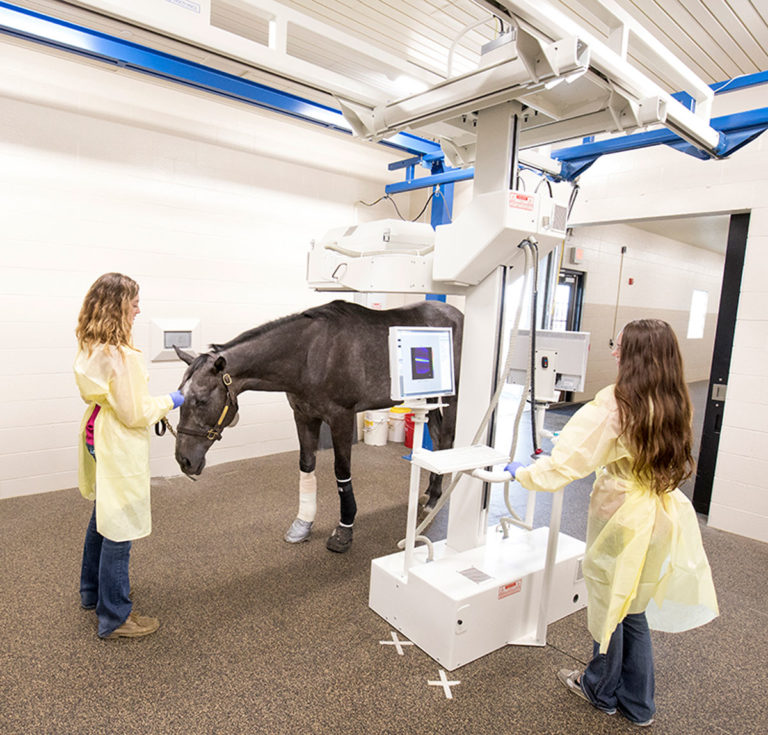 Purdue University renames hospital to Caesars Entertainment Equine Specialty Hospital