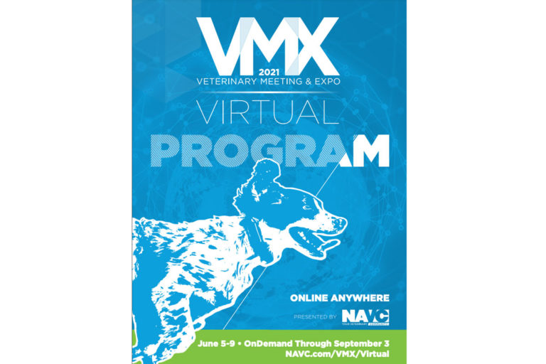 VMX virtual program 2021