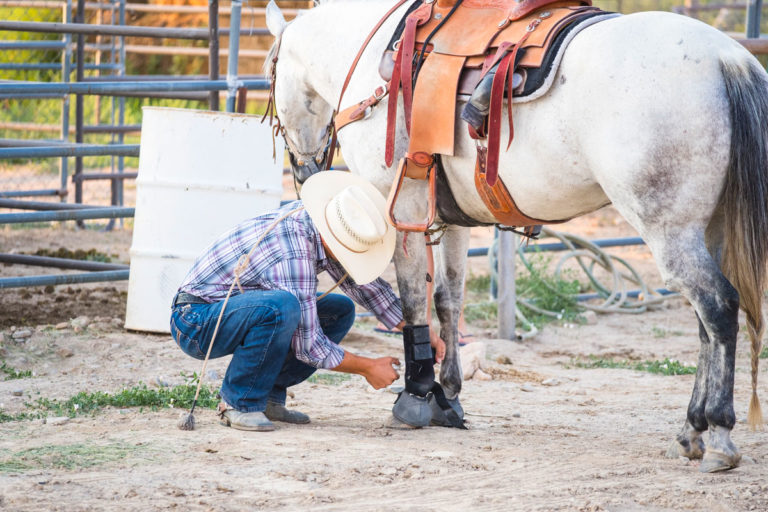 leg wrap boot Western horse