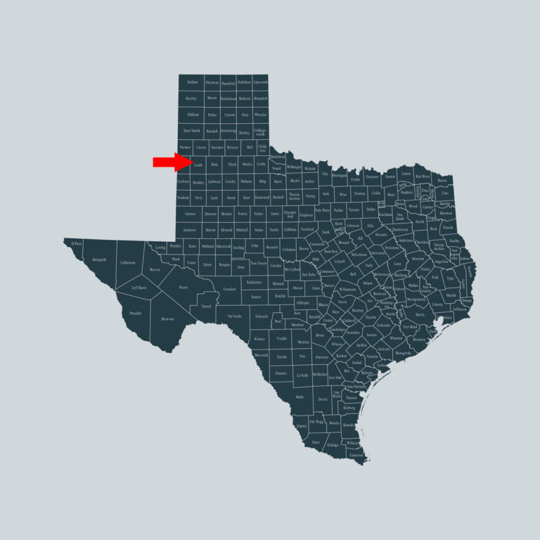 Texas Lamb County map