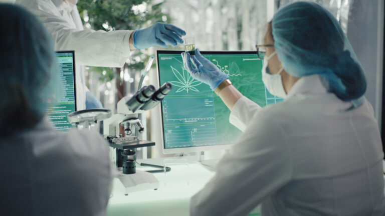 Medical marijuana research. Preparing pharmaceutical CBD oil