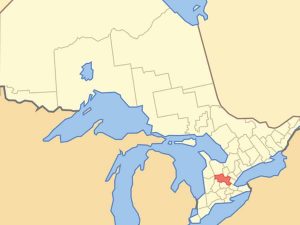 A Thoroughbred gelding at a boarding facility in Wellington County, Ontario, is positive for strangles, and three horses are suspected positive.