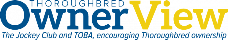 ownerview_logo_tagline_1