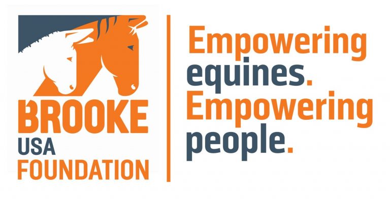 BrookeUSA-NewLogo26Tagline