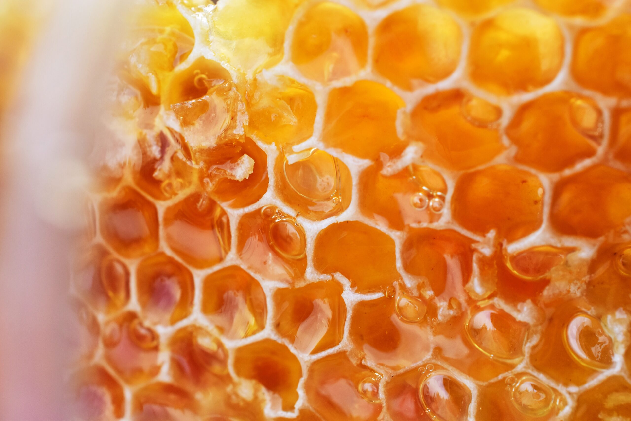 Administration of MedicalGrade Honey in Synovial Structures