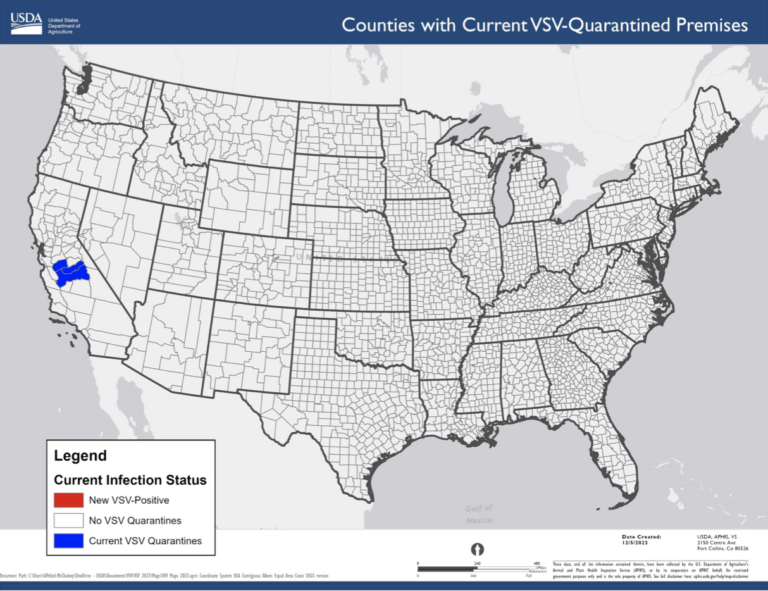 Screen-Shot-2023-12-07-at-3.46