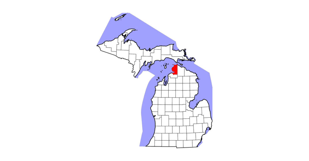A Quarter Horse gelding in Emmet County, Michigan, is positive for strangles and under quarantine.