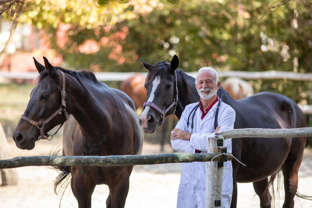 equine veterinarian with chronic pain