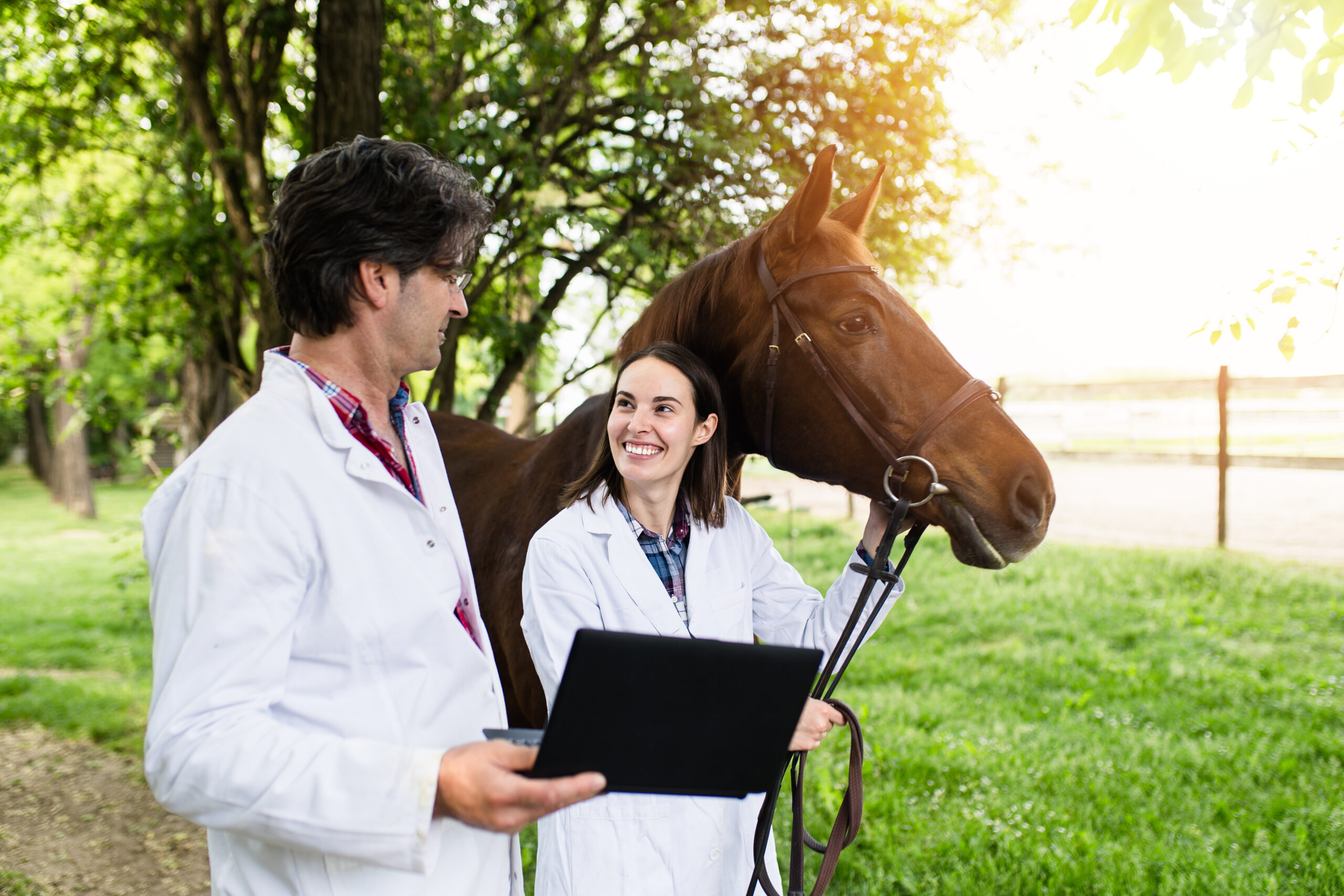Business Briefs: How to Deliver Effective Feedback in Equine Practice