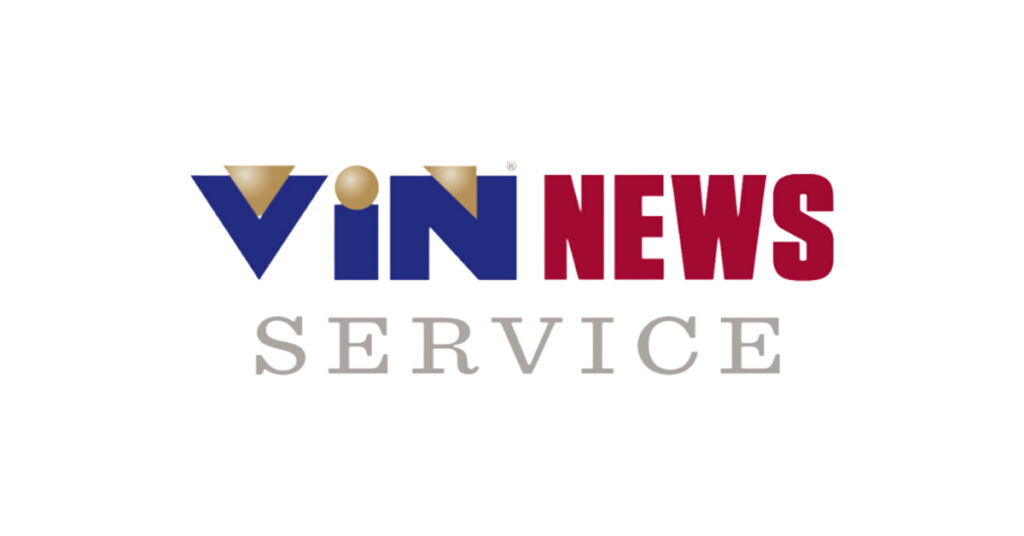 VIN News logo