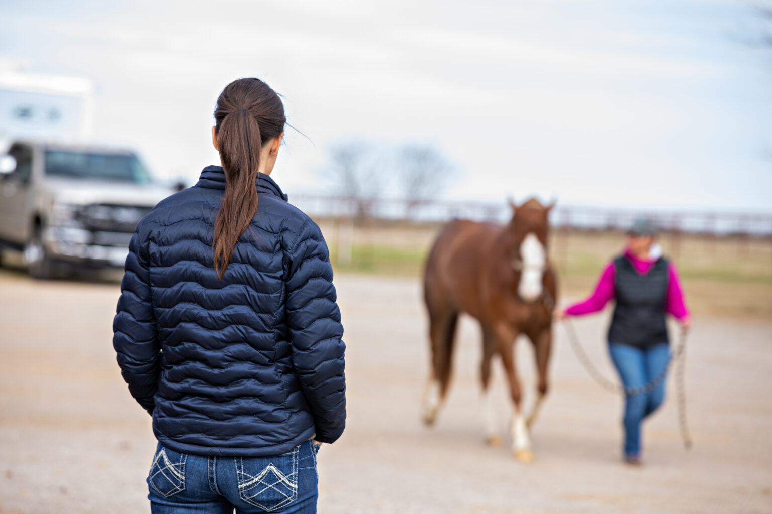 2024 AAEP Convention Sessions Preview EquiManagement
