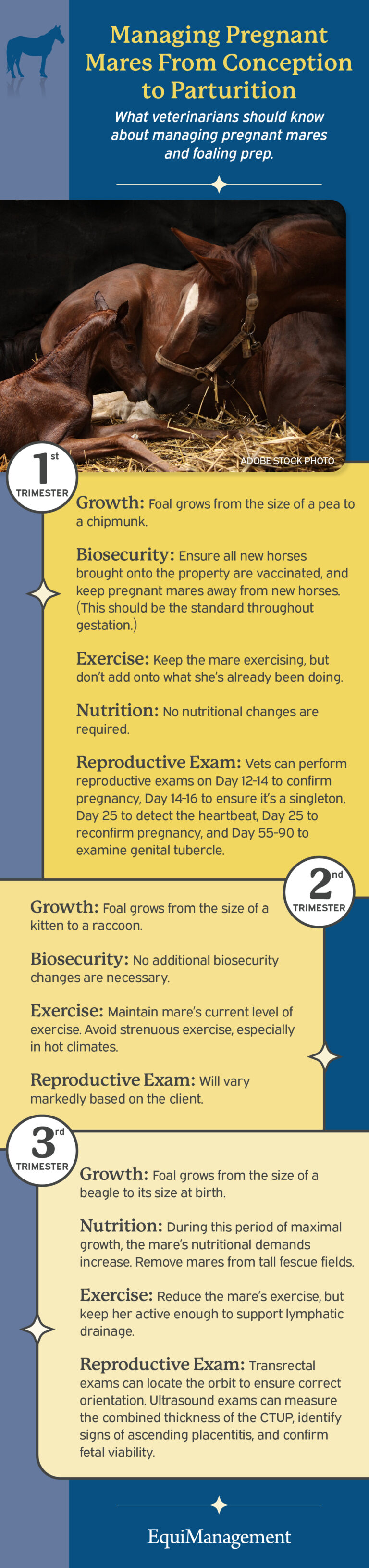 Managing Mares Infographic
