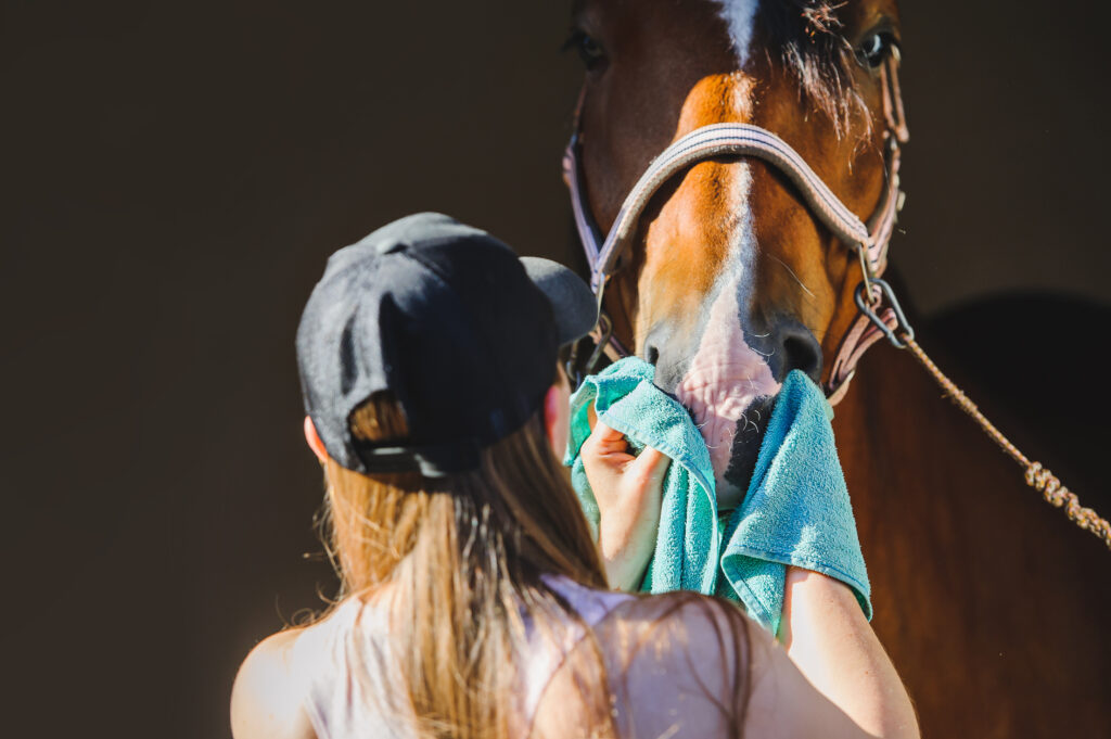 Person wiping horse's nose with a rag.