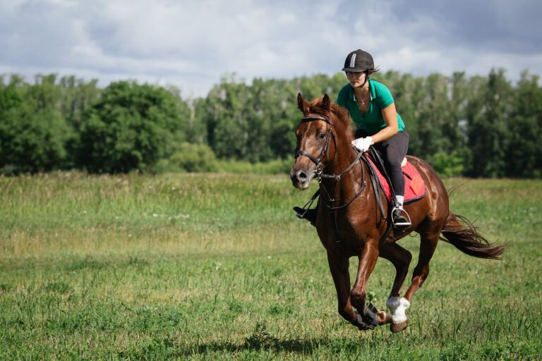 Young woman riding a horse on the green field