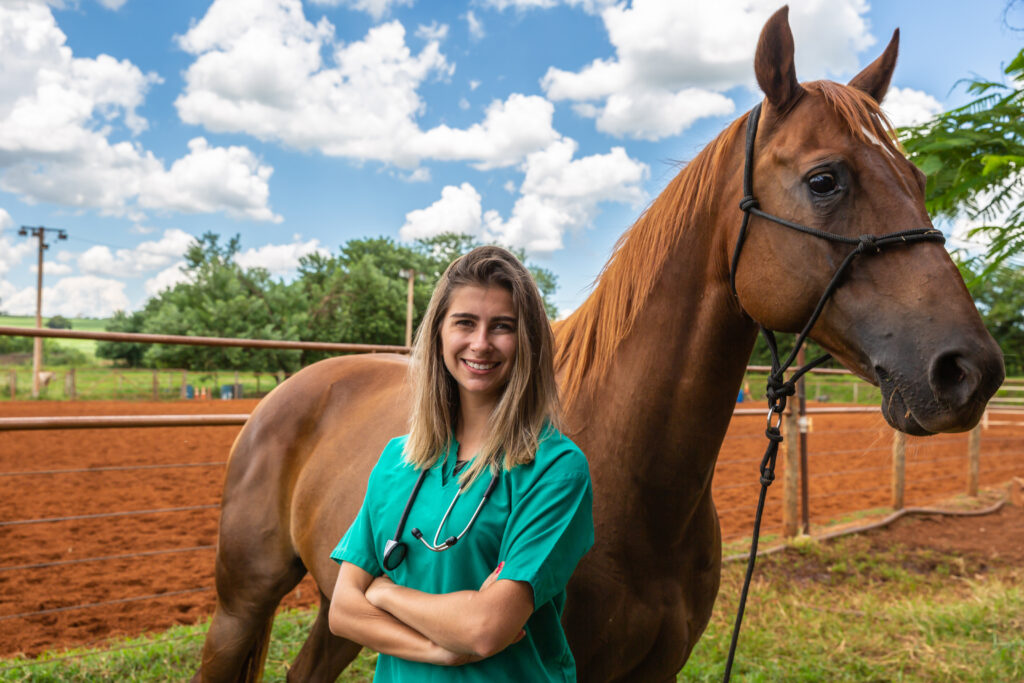 Equine veterinarian, participant in an equine practice internship