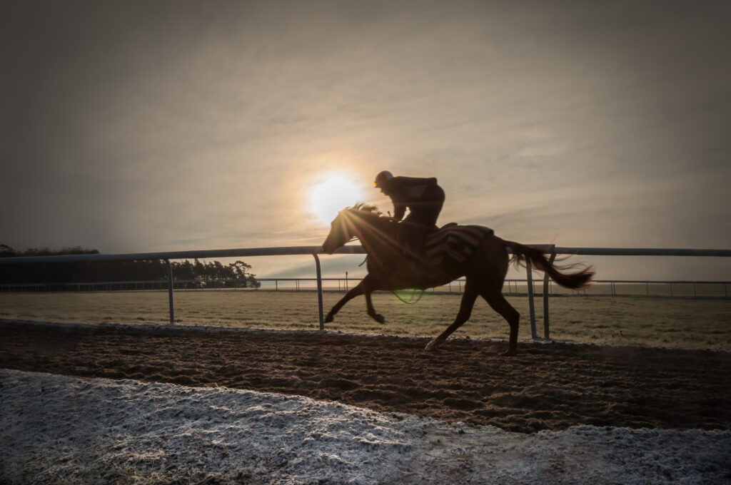 Horse breezing on the racetrack, horse representing EASD
