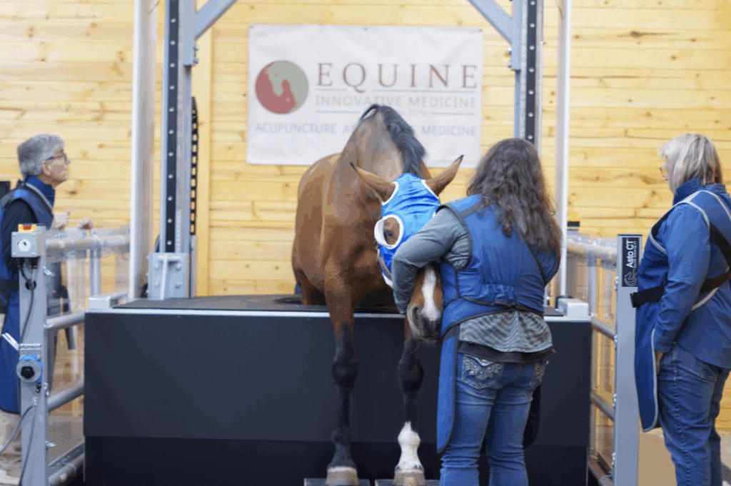 Asto CT's Equina CT scanner, Equine Innovative Medicine, Snohomish, WA