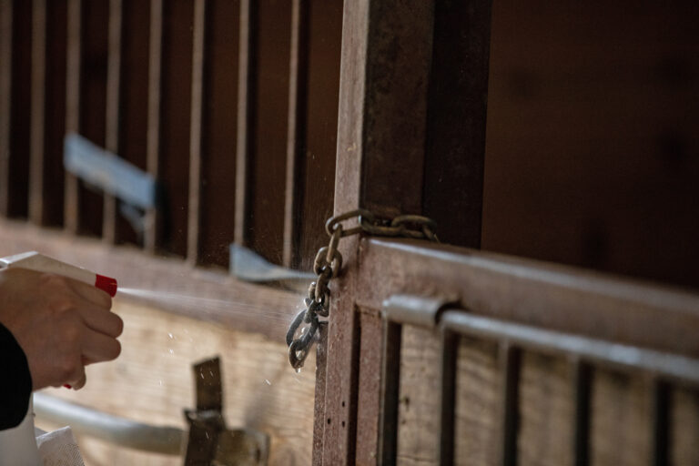 Covid-19 Barn Disinfection