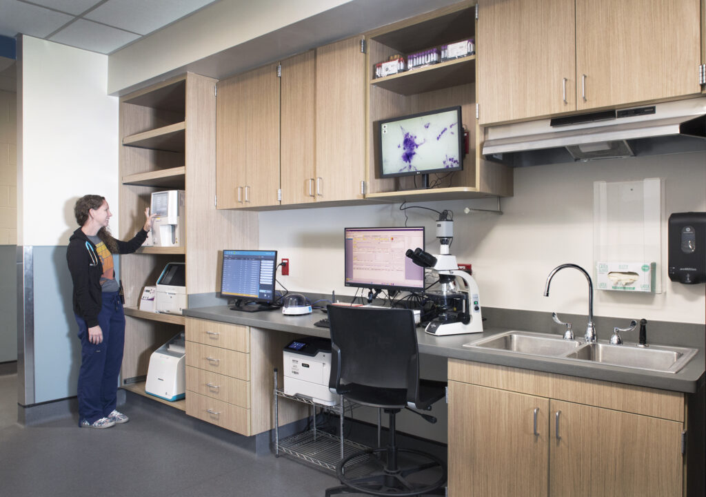 Ergonomic microscope station at equine veterinary practice.