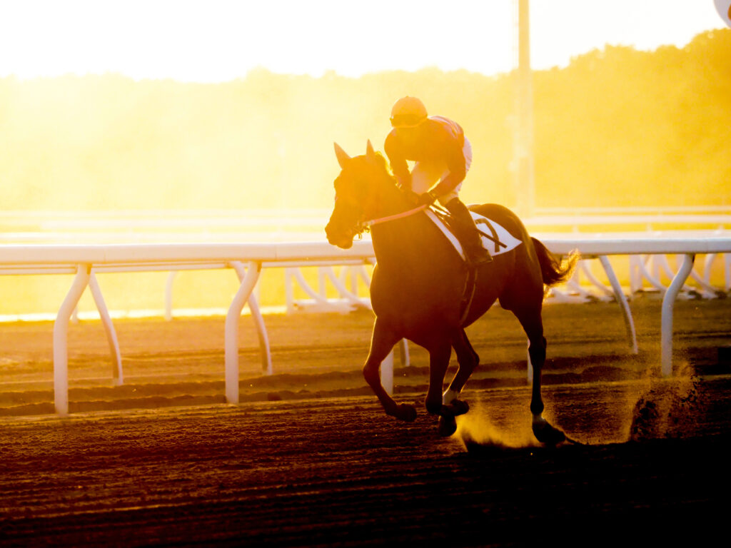 Racehorse running on the track, representing racehorse fatality