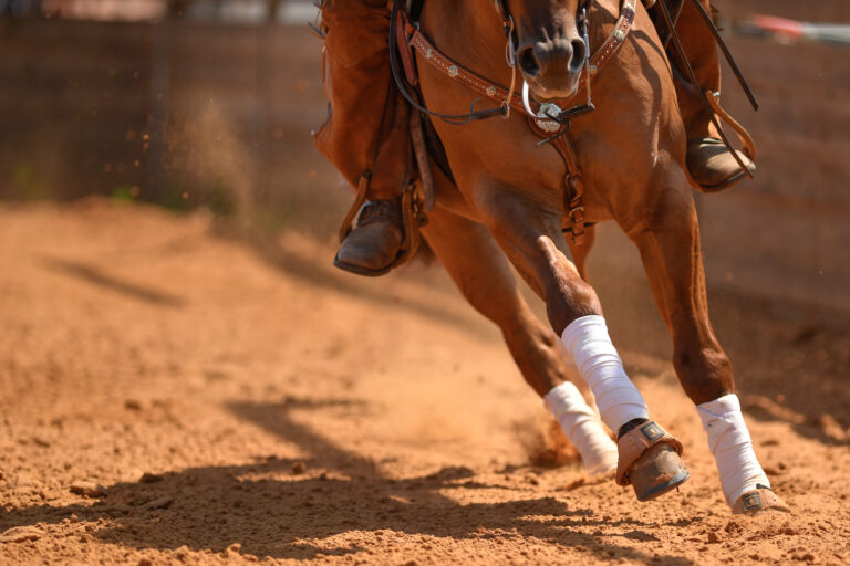 The rider on a reining horse slides to a stop in the red clay an arena