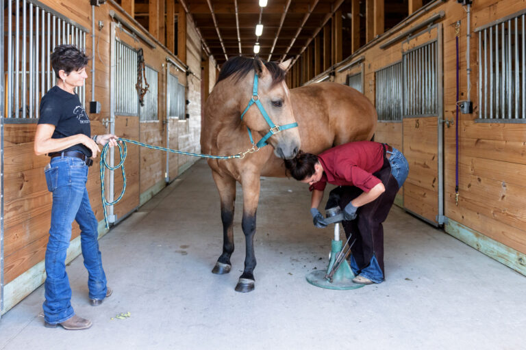 Around the Barn, Farrier