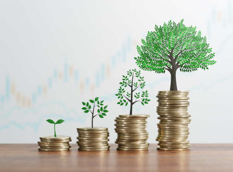 Strategy of successful investing