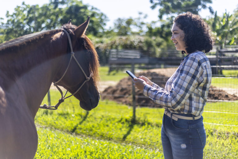 Woman using mobile phone with internet at horse farm