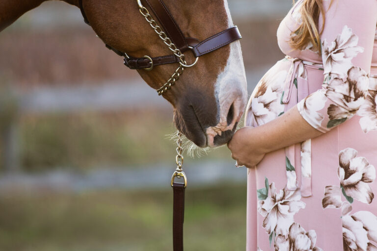 A horse nuzzles the belly of a pregnant woman
