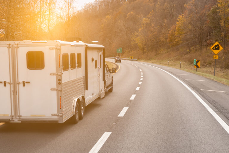Horse transportation on highway road