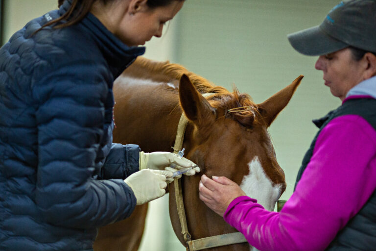 temporal mandible joint injection