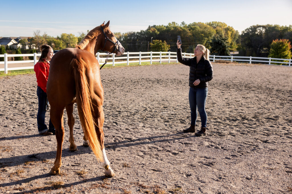 Veterinarian taking a photo of a horse for a Coggins test. 
