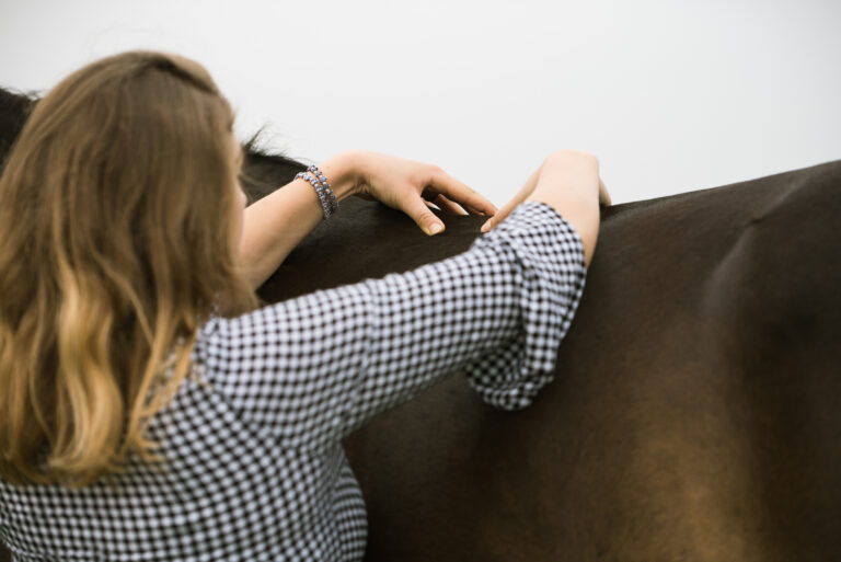 Physiontherapeutin am Pferd