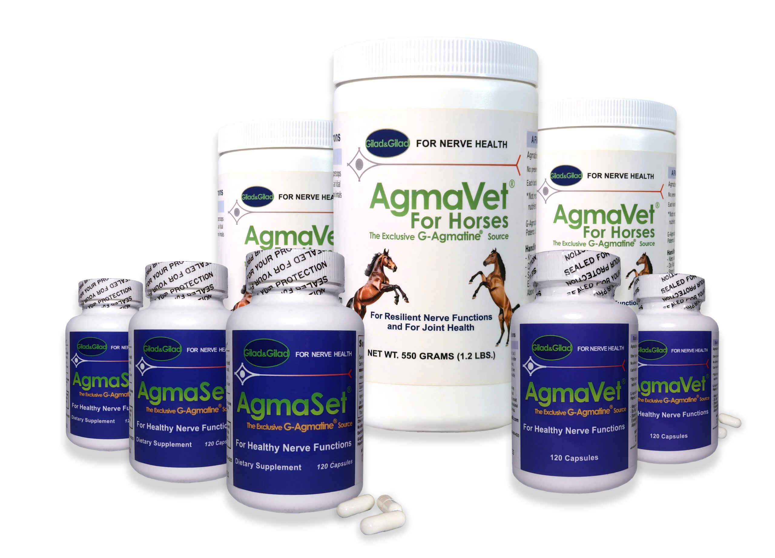 AgmaVet for Horses