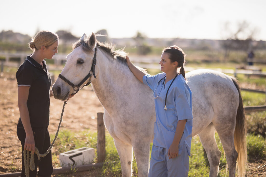 Veterinarian examining a horse and talking with an owner to establish VCPR.